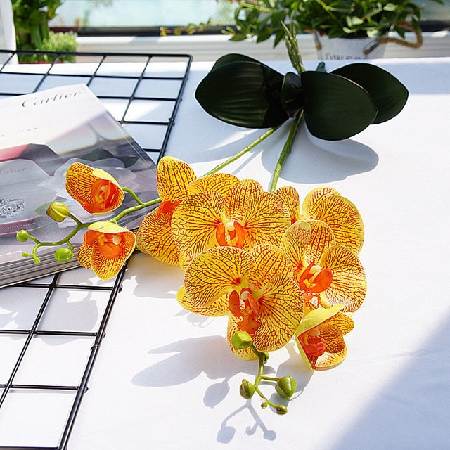 Luxury Latex Orchid with leaves