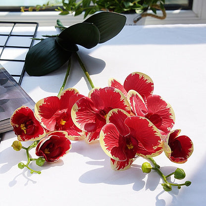 Luxury Latex Orchid with leaves