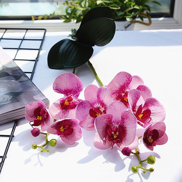 Luxury Latex Orchid with leaves