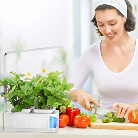 Indoor Hydroponic