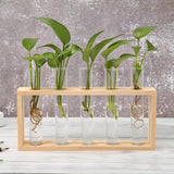 Glass Vase Planter