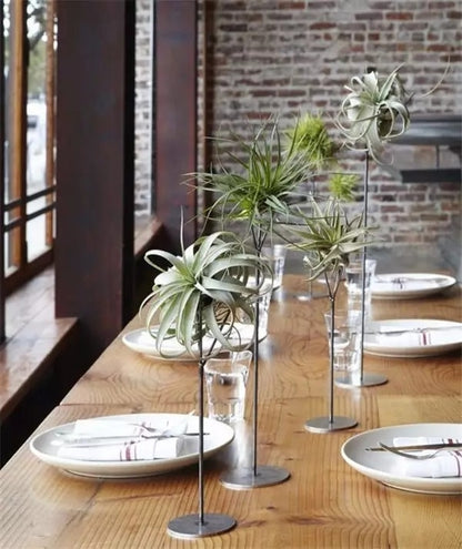 Artificial Air Plant Tillandsia