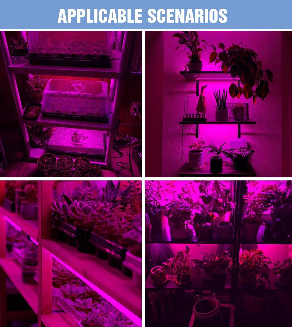 LED Full Spectrum USB 5V Grow Light