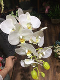 1pcs 90cm artificial orchid flower