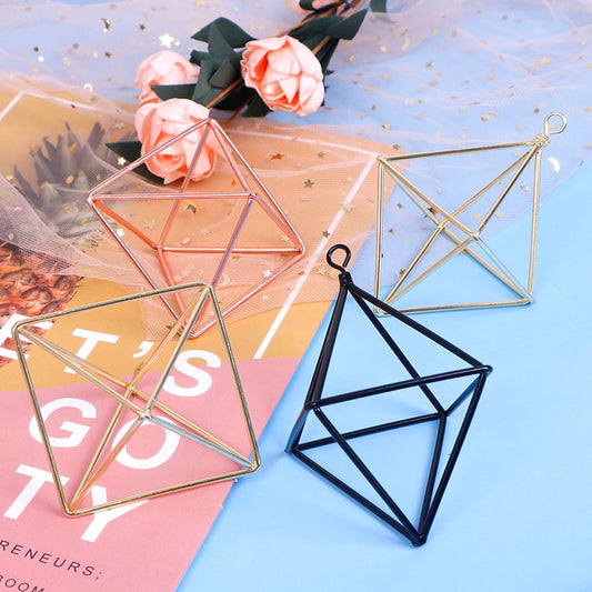 Air Plants Holder